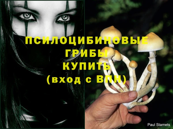 таблы Аркадак