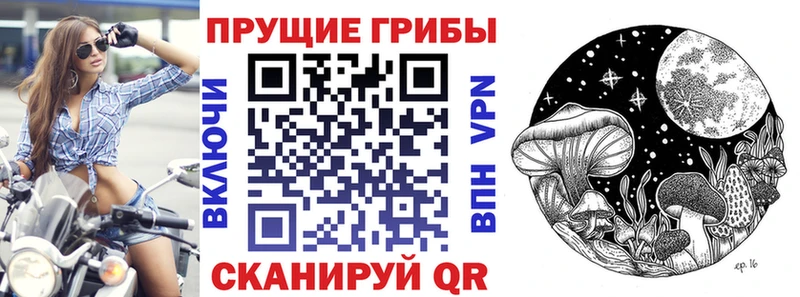 где продают наркотики  hydra рабочий сайт  Галлюциногенные грибы ЛСД  Рыбное 